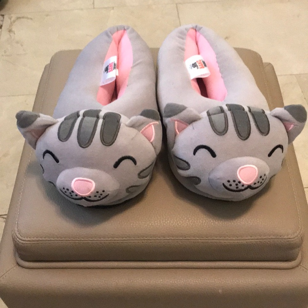 NWOT The Big Bang Theory Soft Kitty Slippers